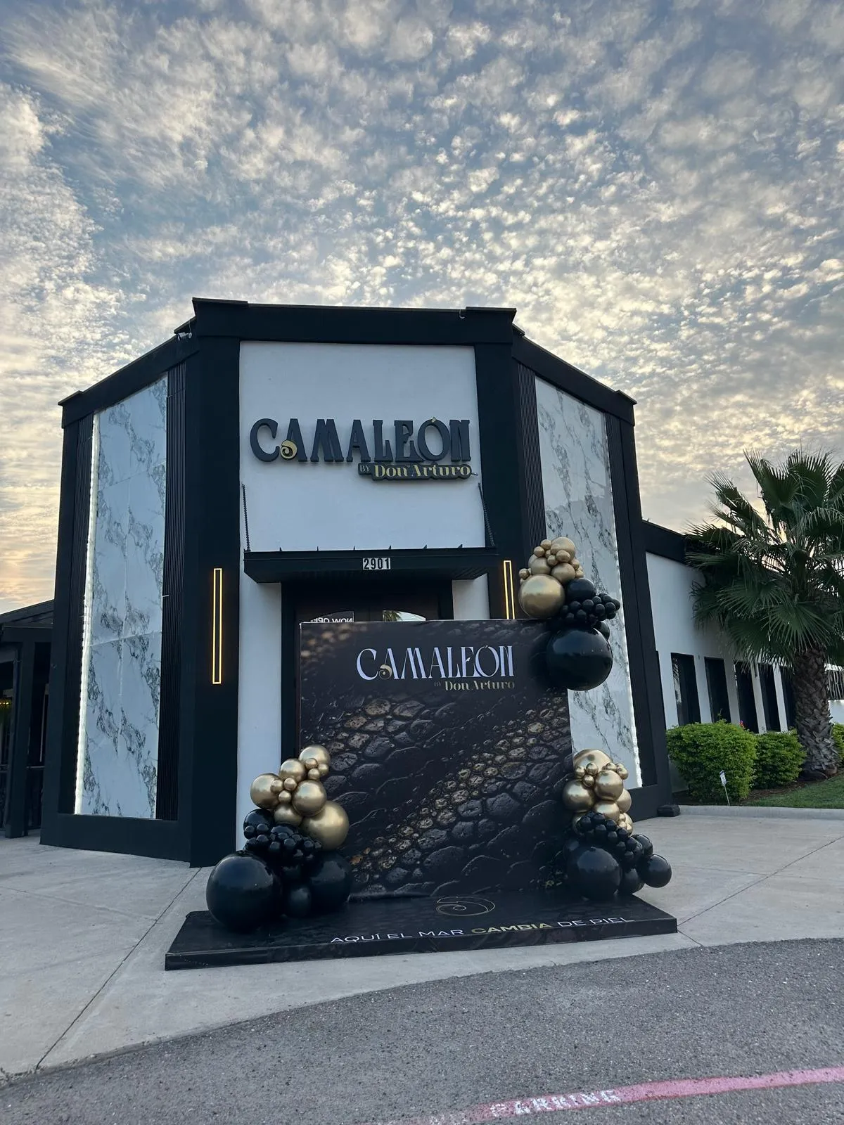 Camaleón by Don Arturo's marble-and-black facade on Expressway 83, McAllen