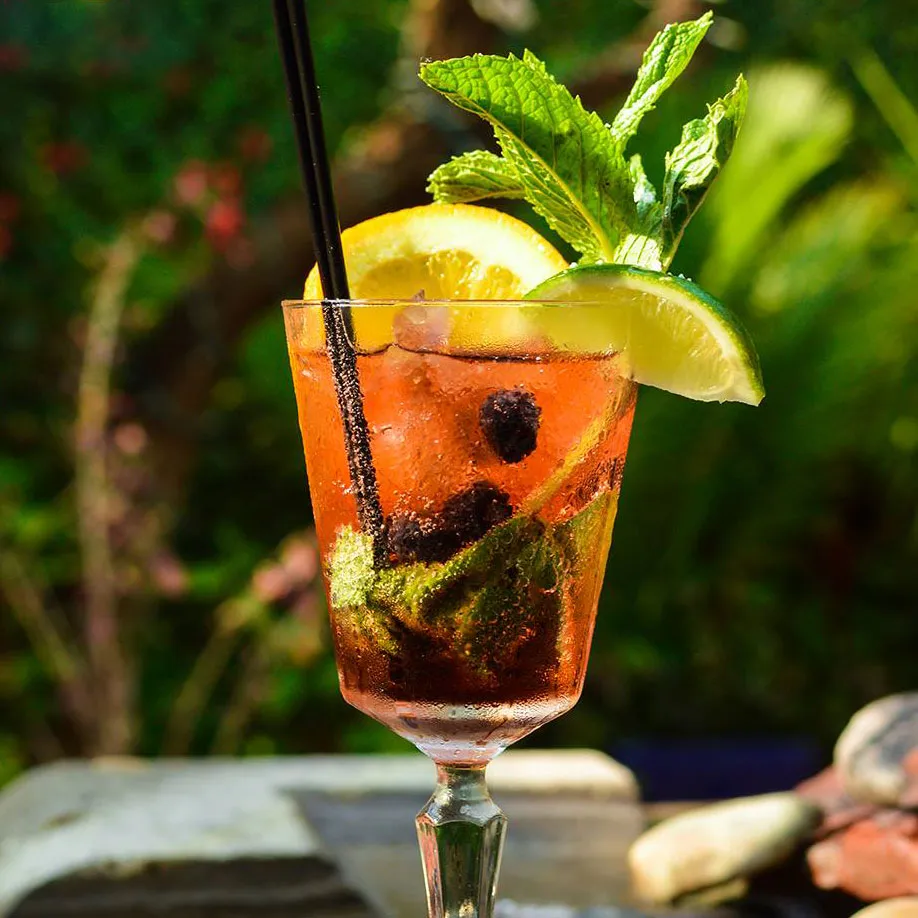 A citrus and mint cocktail served in the garden