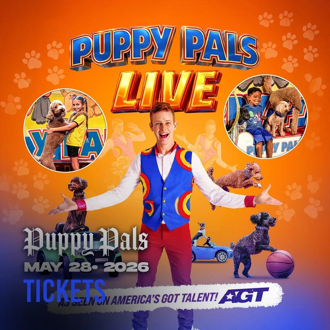 Puppy Pals Live